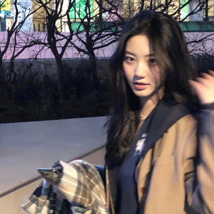 科尔蒂纳上的圣诞假期